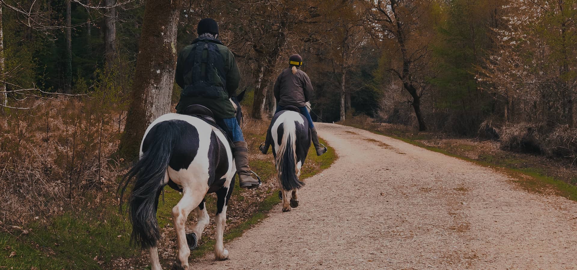 Therapeutic Riding Valley Riding Inc